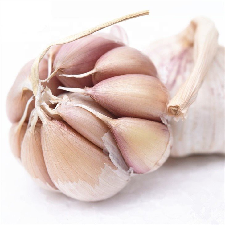 Fresh white garlic cloves in brine in drums