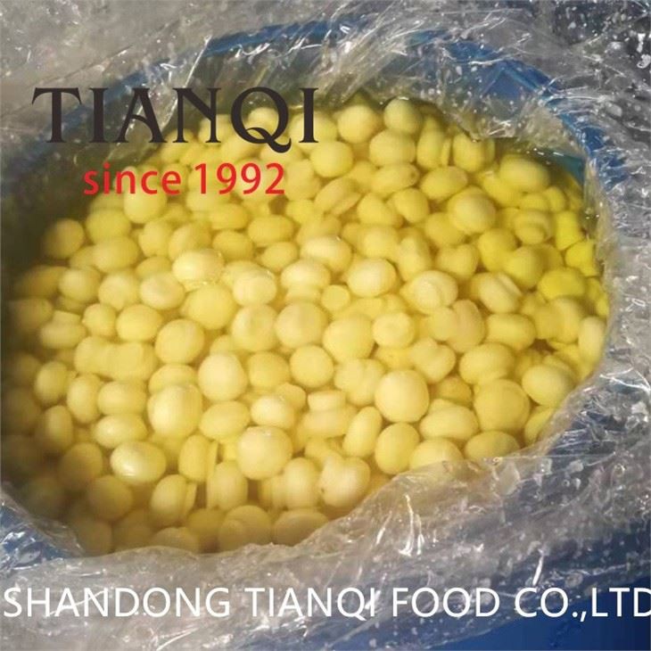 Preserved white mushroom in SO2 in drums