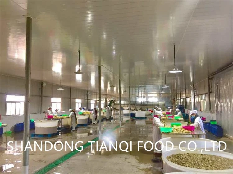 Factory white garlic in drums in salted water