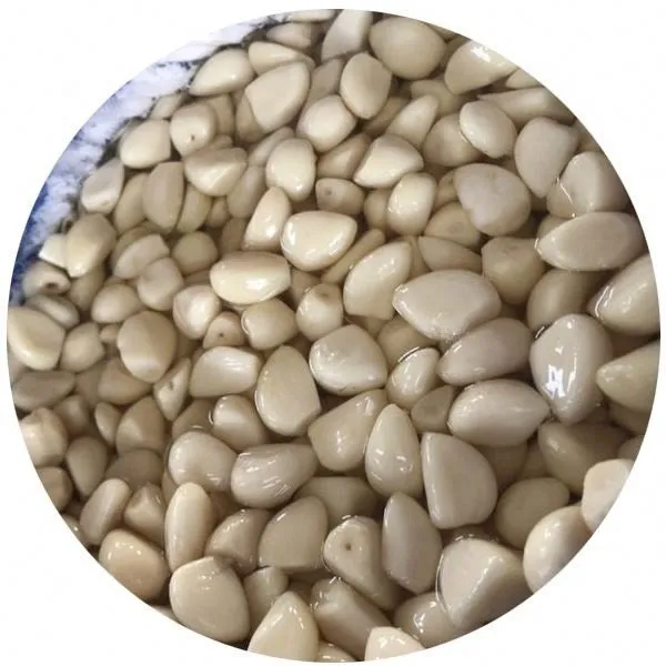 First grade white garlic in salted water in drums