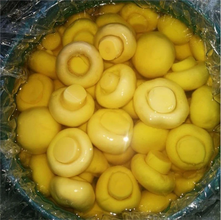 Best 4-6cm white champignon mushroom in brine in drums