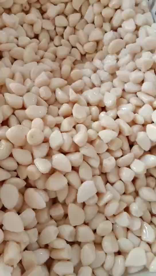 Cheap price normal white garlic cloves in salted water in drums
