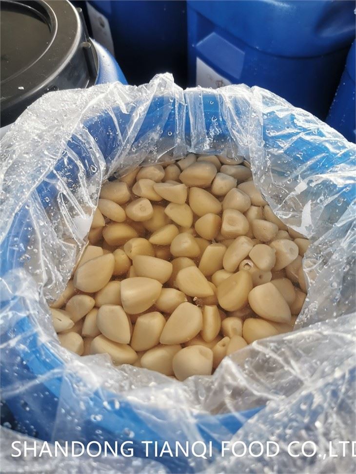 High quality L white garlic in brine in drums