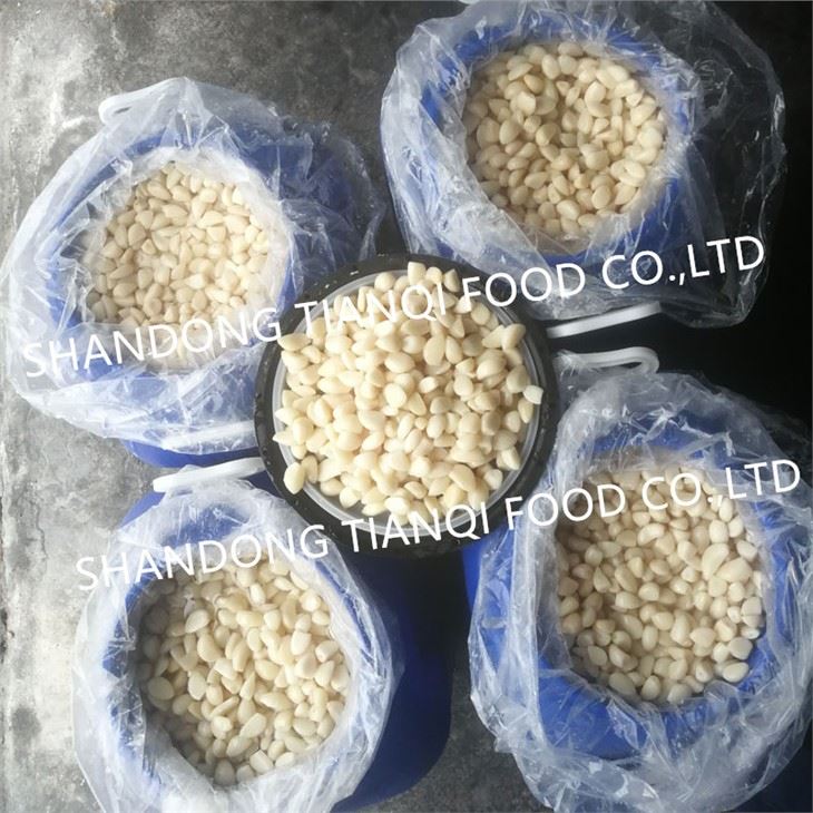 Hot selling normal white garlic in brine in drums