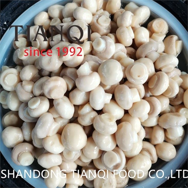 Preserved white button mushroom in drums