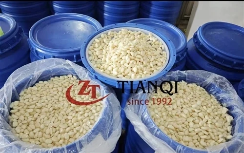 180kgs Drum Packaging: Transporting Garlic in Brine Safely